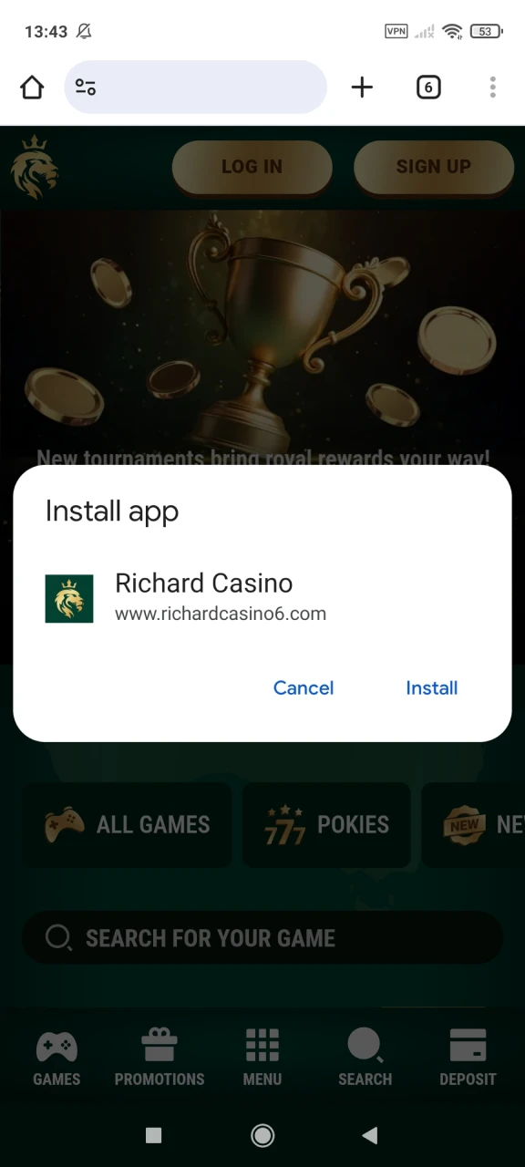 Complete the installation of the Richard Casino application.