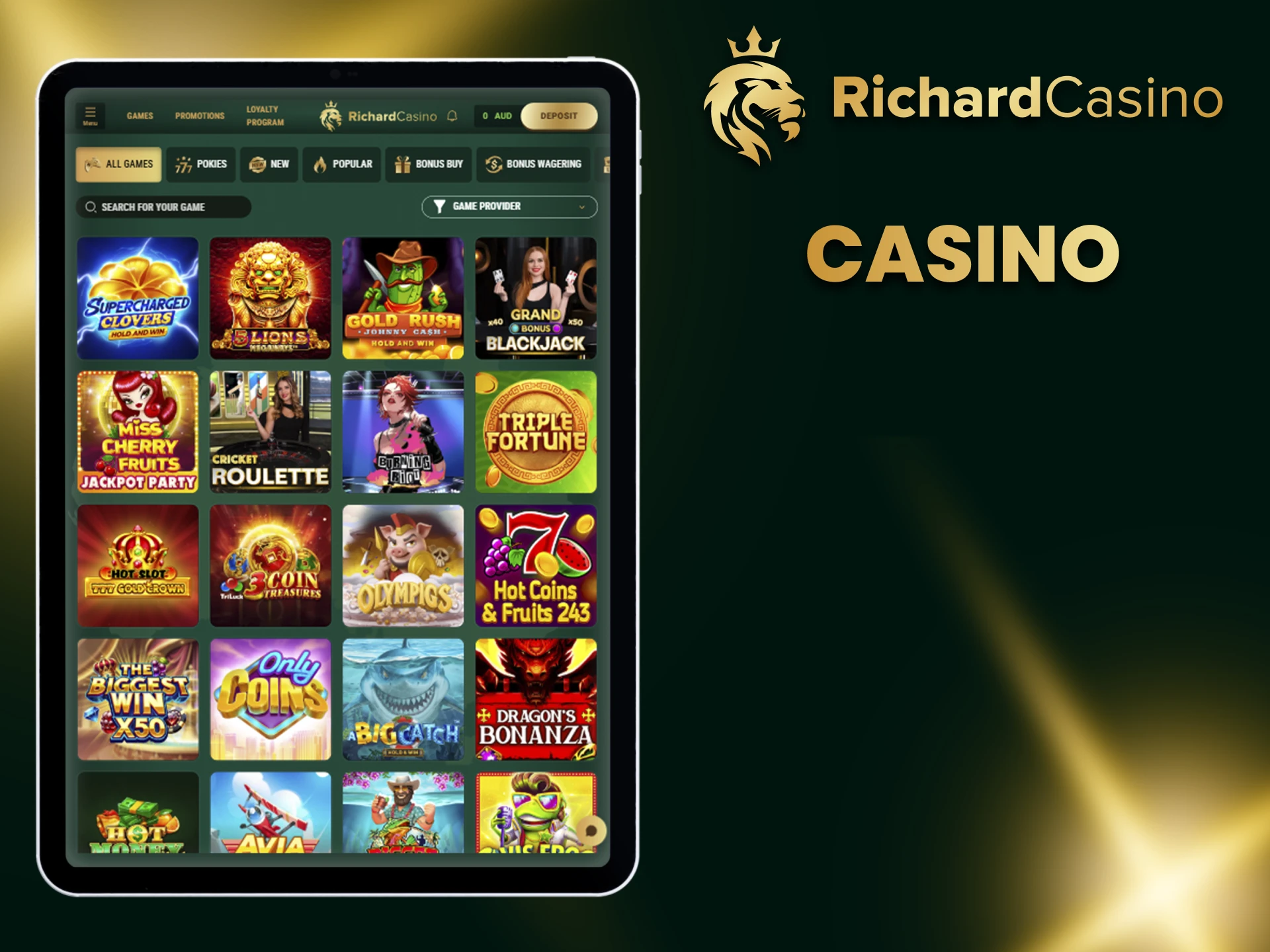 We recommend casino games from Richard Casino.