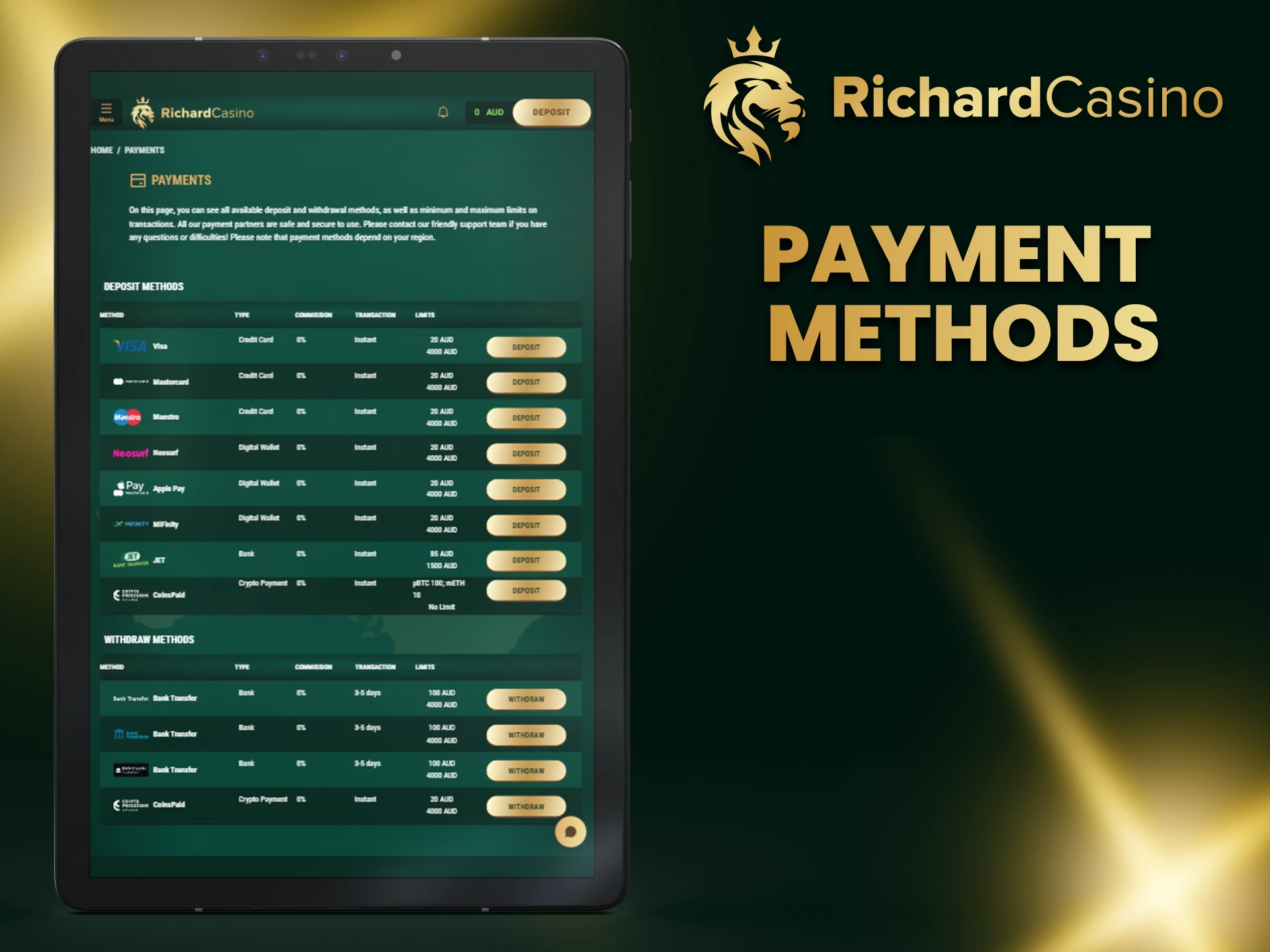 Choose a convenient payment method at Richard Casino.