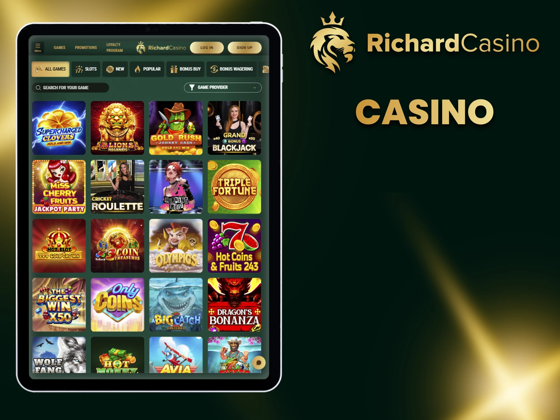 We recommend casino games from Richard Casino.